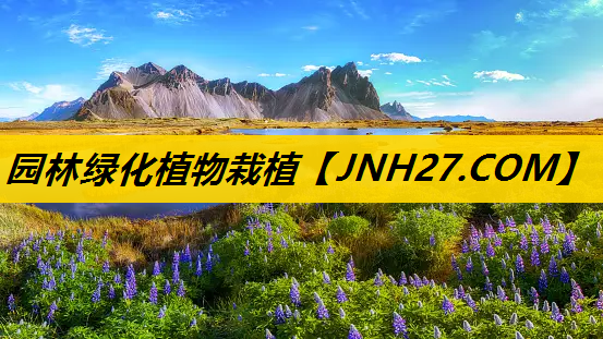 园林绿化植物栽植