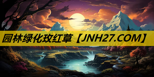 园林绿化玫红草